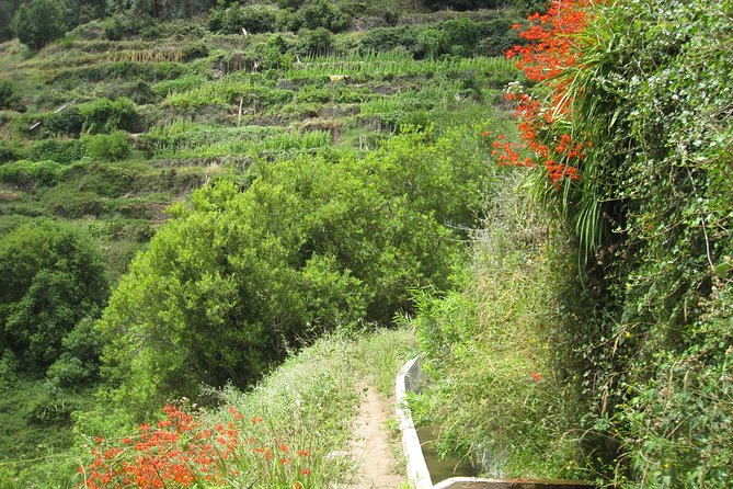 Funchal Small-Group Serra D'Agua Valley Walk - Excursion Details
