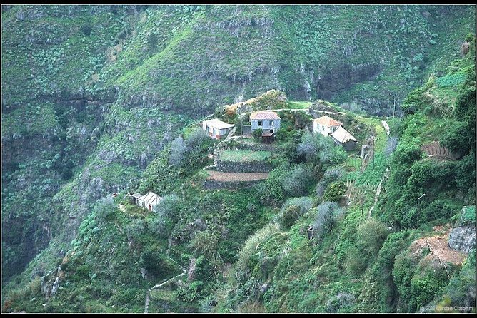 Funchal Small-Group Serra D'Agua Valley Walk - Inclusions