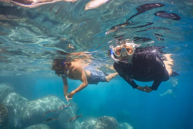 Funchal: Snorkeling Adventure in Eco-Park / Shore or by Boat - Who Should Book This Tour?