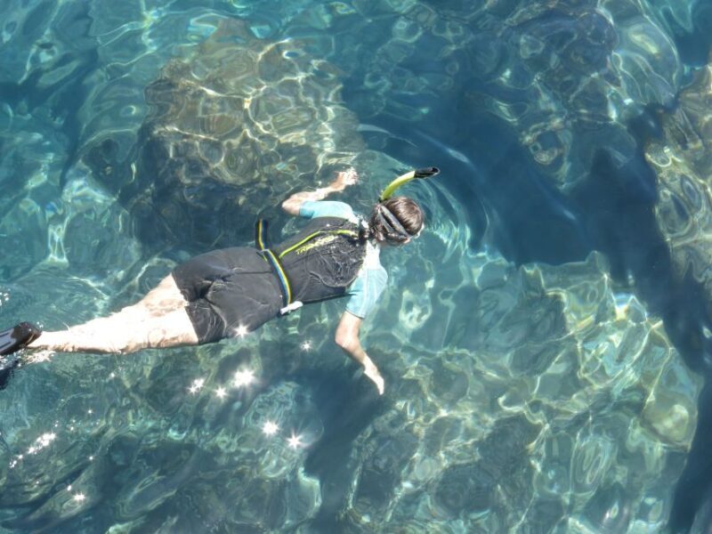 Funchal: Snorkeling Adventure in Eco-Park / Shore or by Boat - Final Thoughts