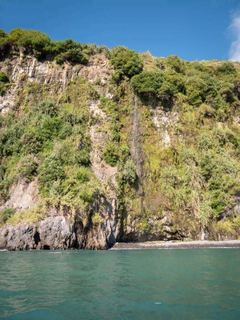 Funchal: Speedboat SEE THE ISLAND AND LIFE AT SEA - The Sum Up