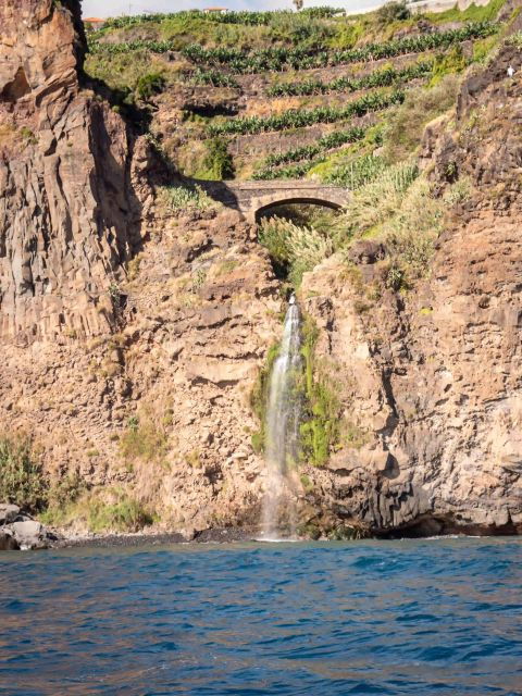 Funchal: Thrilling Speedboat Tour - Madeira Sparkling Waters - Customer Review