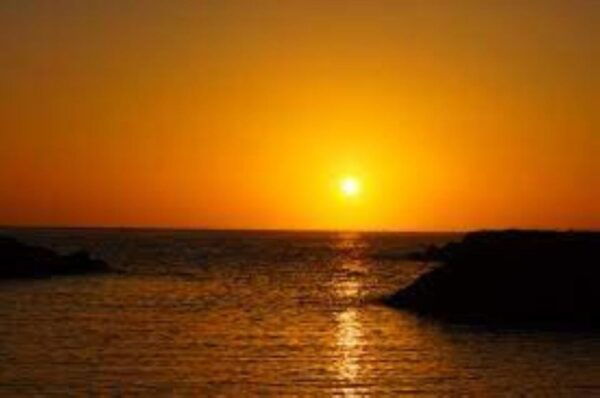Funchal: Thrilling Speedboat Tour - Madeira Sparkling Waters - The Sum Up