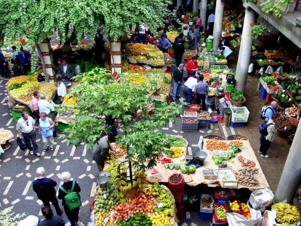 Funchal Tour and Câmara De Lobos Tour - The Sum Up