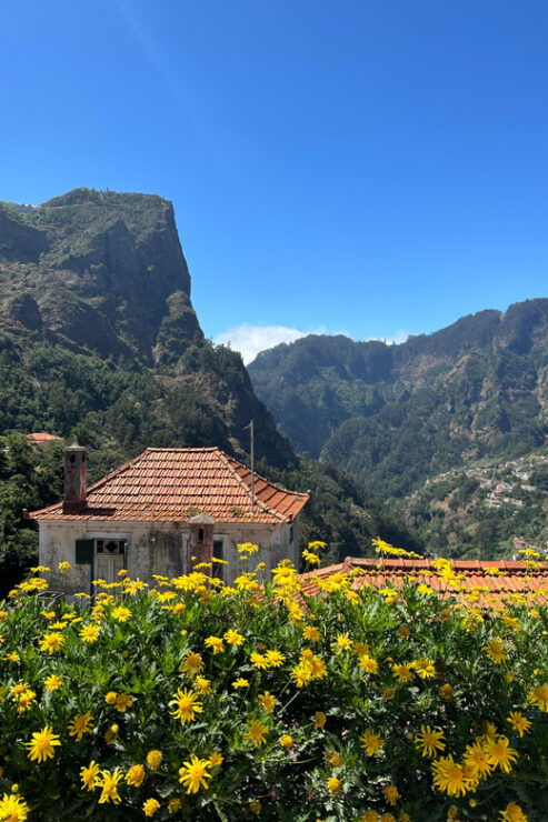 Funchal: Valley of the Nun'S Tour by Tuk Tuk - Good To Know