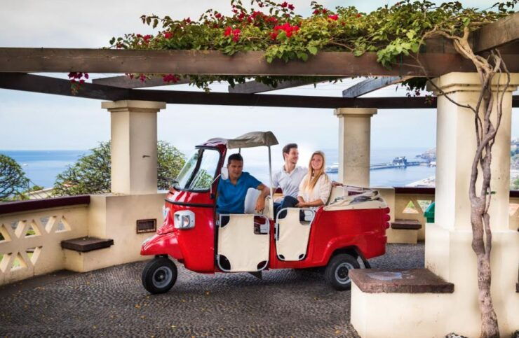 Funchal Viewpoints: 90-Minute Guided Tuk Tuk Tour - Inclusions