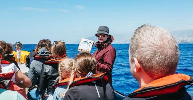 Funchal: Whale and Dolphin Watching Speed Boat Tour - Expert Biologist Guide and Educational Experience
