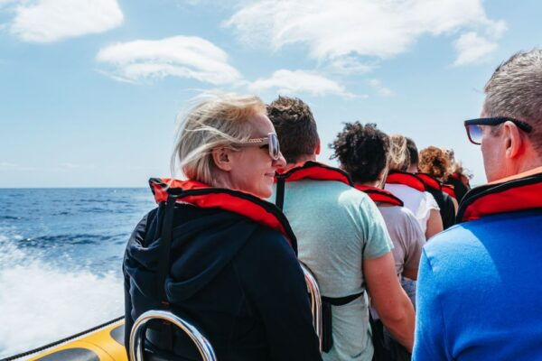 Funchal: Whale and Dolphin Watching Speed Boat Tour - Additional Reviews Highlighting Responsible and Exciting Experience