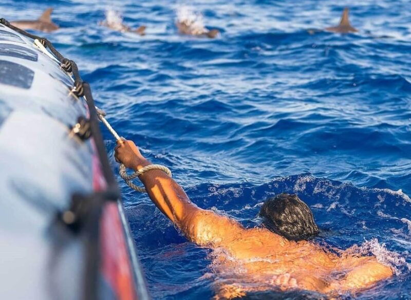Funchal: Whale Watching and Swimming with Dolphins Cruise - A Closer Look at the Tour Experience