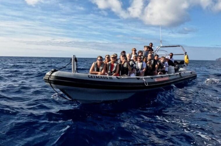 Funchal: Whale Watching and Swimming with Dolphins Cruise - The Review Spectrum: What Travelers Say