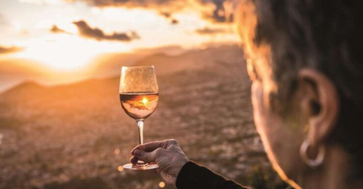 Funchal: Wine and Sugar Walking Tour - Experience Highlights