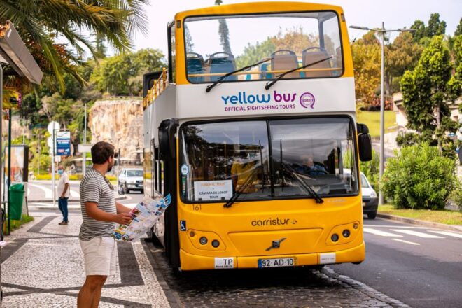Funchal:Hop-On Hop-Off Bus & Whale & Dolphin Boat Excursion - Tour Information