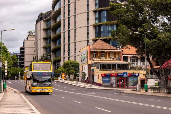 Funchal:Hop-On Hop-Off Bus & Whale & Dolphin Boat Excursion - The Sum Up