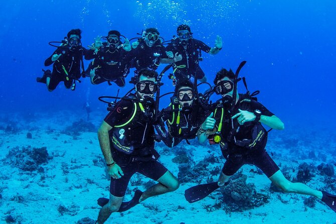 Fundiving in Cozumel - by Ferry - 2 Tanks in the Wonderful Caribbean Sea - The Sum Up