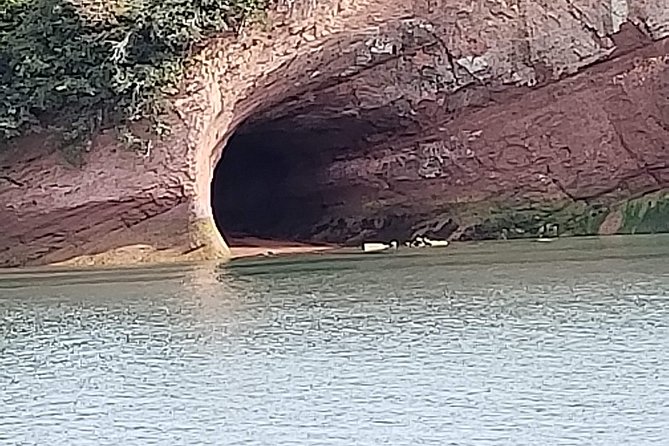 Fundy Coast to Fundy Shore Tour - Best Excursion Experience