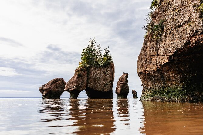 Fundy Glamping Getaway for Two - Pricing and Booking