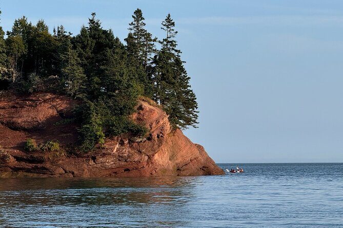 Fundy Shore Tour By Bus - Good To Know