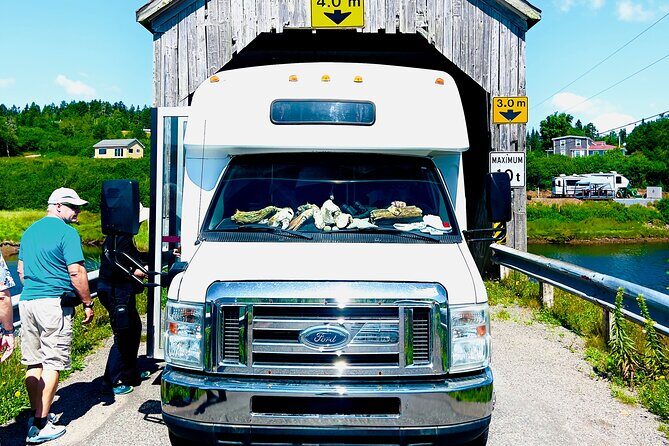 Fundy Shore Tour By Bus - The Real Deal: A Deep Dive into the Fundy Shore Tour