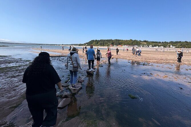 Fundy Shore Tour By Bus - FAQs