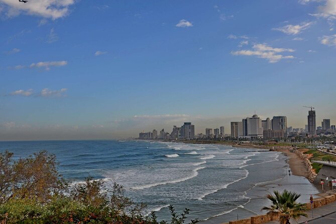 Funky Fusion: Tel Aviv and Jaffas Urban Safari Private Day Tour - Transportation Details