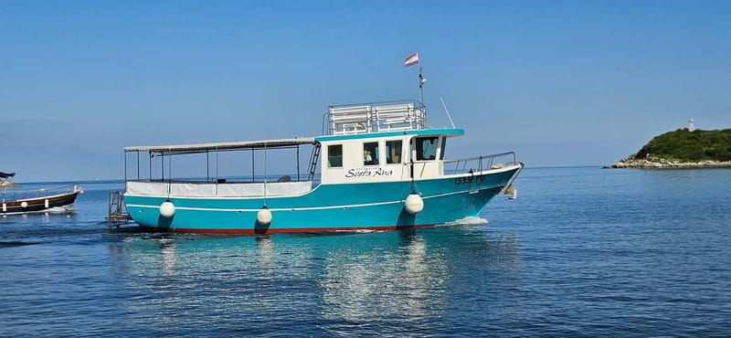 Funtana,Vrsar: Dolphin watching at sunset,drinks included - Why This Tour Offers Great Value