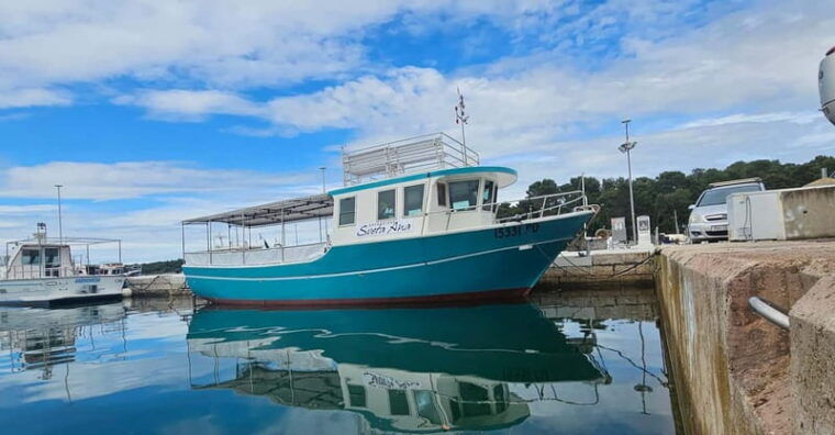 Funtana,Vrsar: Dolphin watching at sunset,drinks included - Final Thoughts