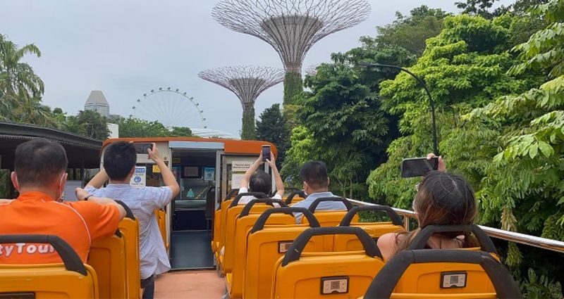 FunVee Hop On Hop Off Bus Tour - What to know before you book