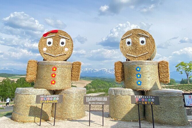 Furano and Biei Special Complete package - Who Would Love This Tour?