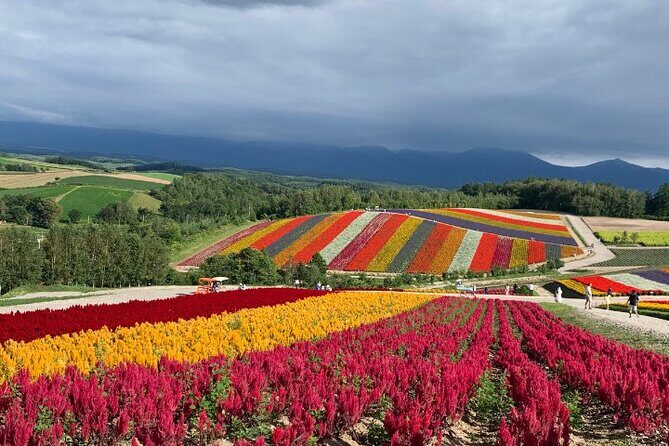 Furano and Biei Special Complete package - FAQ