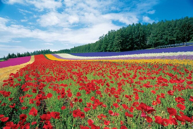 Furano & Biei 4 Hour Tour: English Speaking Driver Only, No Guide - Pricing and Booking Details