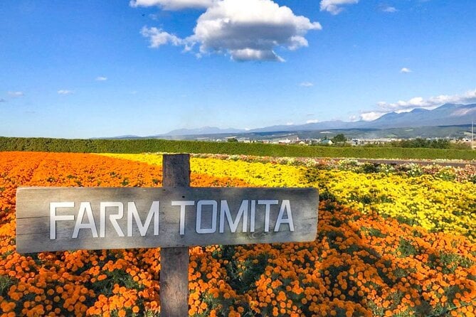 Furano & Biei 4 Hour Tour: English Speaking Driver Only, No Guide - Additional Information