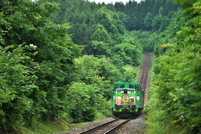 Furano & Biei 4 Hour Tour: English Speaking Driver Only, No Guide - Pickup and Drop-off Details