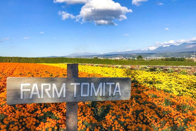 Furano & Biei 6 Hour Tour: English Speaking Driver Only, No Guide - Booking Details and Information