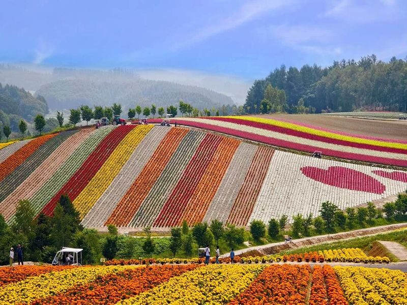 Furano & Biei Blue Pond & Shikisai no Oka One-Day Tour | Departing from Sapporo - Blue Pond: color that depends on the sky