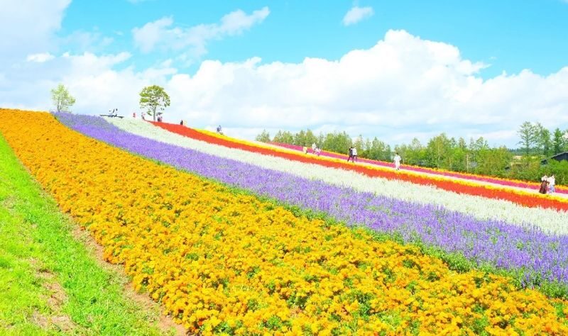 Furano & Biei Blue Pond & Shikisai no Oka One-Day Tour | Departing from Sapporo - HERB GARDEN FURANO and the lunch decision
