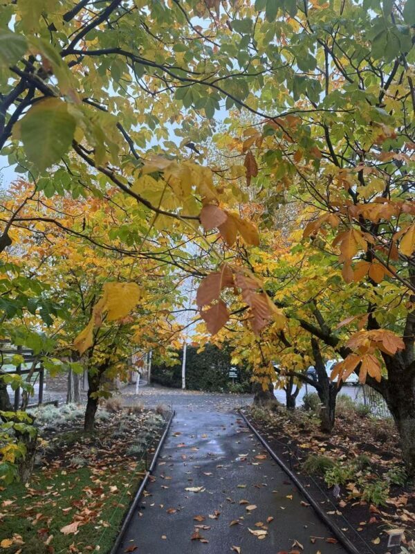 Furano & Biei Seasonal One-Day Tour: Summer Flower Fields, Winter Illumination Romantic Route - Blue water, a white waterfall and Biei’s hills