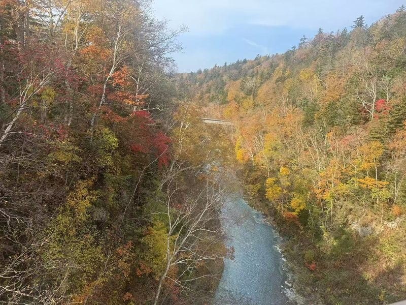 Furano & Biei Seasonal One-Day Tour: Summer Flower Fields, Winter Illumination Romantic Route - Ningle Terrace after dark