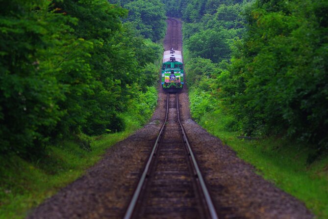 Furano Biei Tour Sapporo DEP: English Speaking Driver, No Guide - Weather and Cancellation Policy