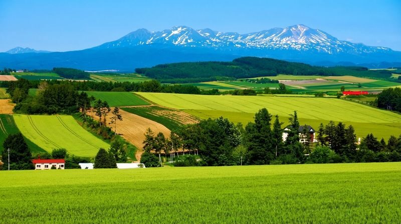 Furano & Shikisai-no-Oka Lavender Day Trip from Sapporo (Includes Limited-Time Complimentary Flower Park Admission + Norokko Tractor Bus Ride) - Why this route works from Sapporo