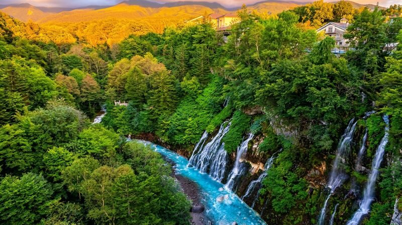 Furano & Shikisai-no-Oka Lavender Day Trip from Sapporo (Includes Limited-Time Complimentary Flower Park Admission + Norokko Tractor Bus Ride) - Who should book this trip?
