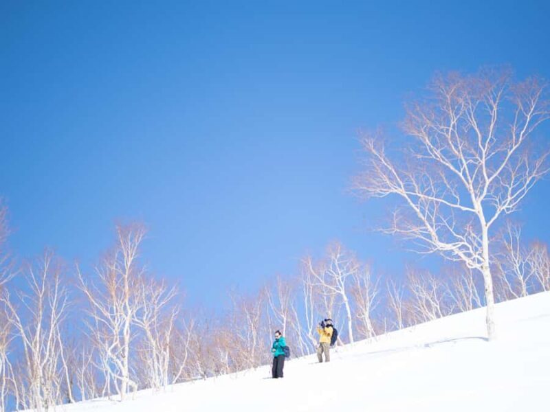 Furano: Snowshoeing Tour with Hot Spring Visit - The Sum Up