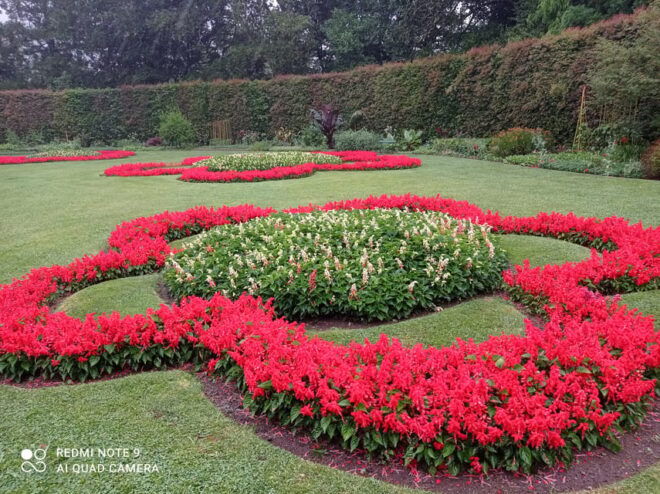 Furnas Full Day (Lunch Included in the Minime 2 People) - Inclusions