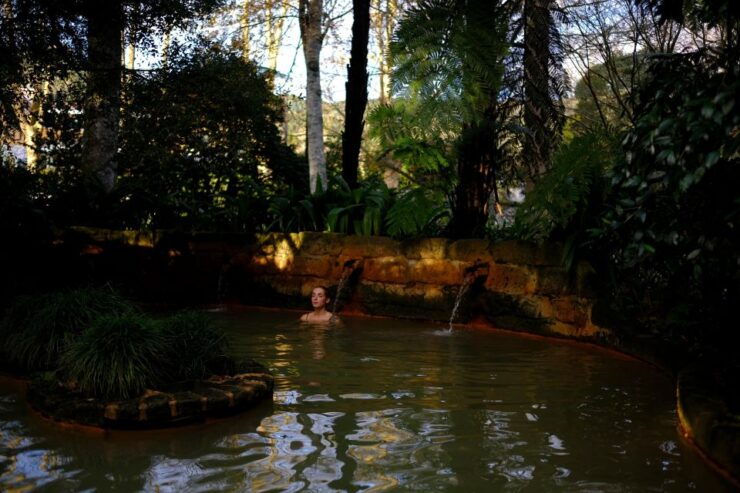Furnas: Morning Experience With Thermal Baths and Lunch - Tour Details