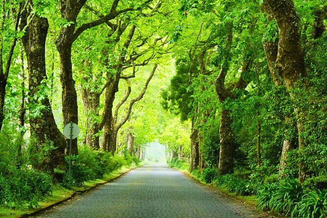 Furnas: Mystic Tour (w/Dinner & Thermal Springs) - Good To Know