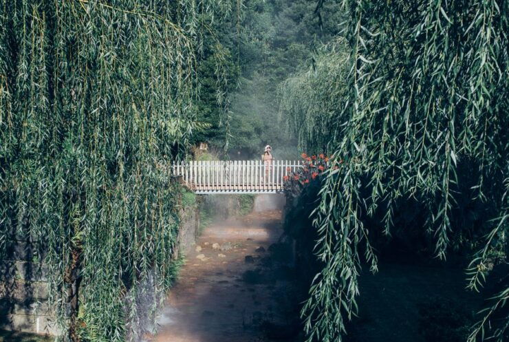 Furnas: Night-Time Experience With Thermal Baths and Dinner - Experience Highlights