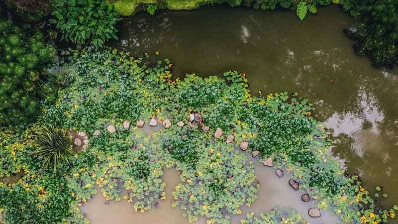 Furnas & Terra Nostra Gardens Biologist-guided Tour +lunch - Why This Tour Offers Great Value