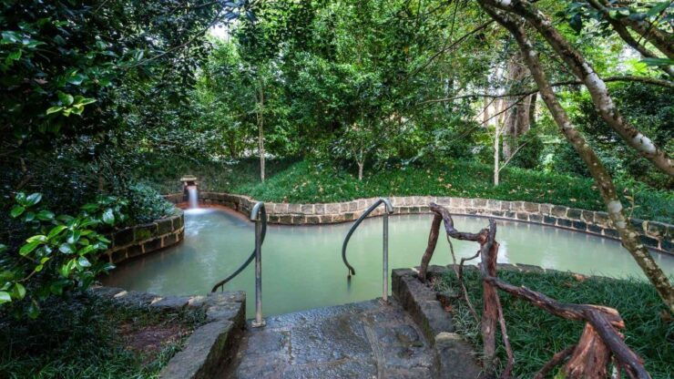 Furnas & Terra Nostra Park Guided Tour W/ Lunch - Tour Booking Details