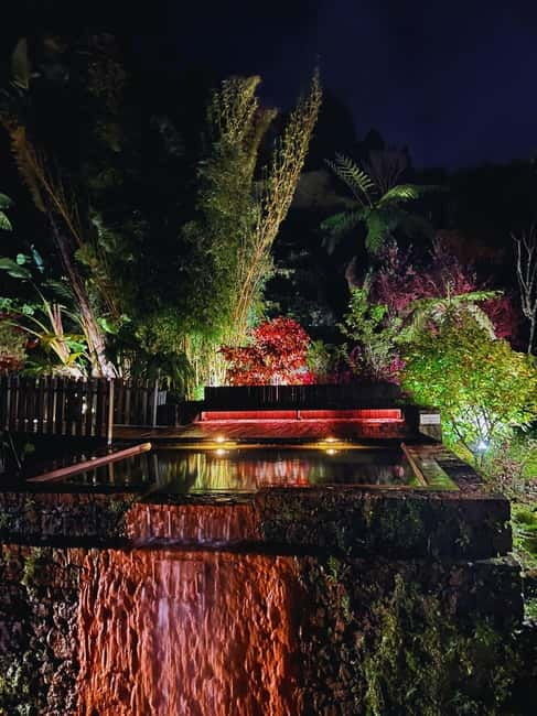 Furnas: the Mystic Tour (Dinner incl. + Hot Springs) - Exploring the Scenic Sights of São Miguel