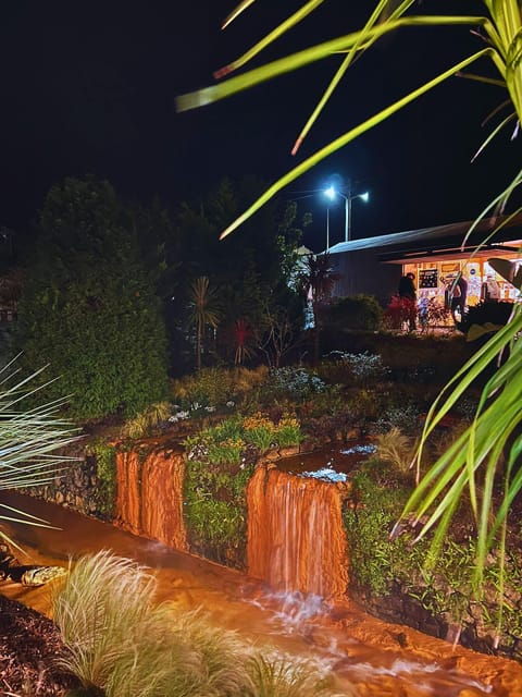 Furnas: the Mystic Tour (Dinner incl. + Hot Springs) - Practical Details and Value