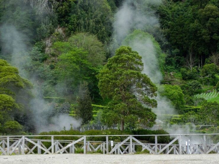 Furnas: Thermal Springs & Tea Plantation Day Tour With Lunch - Booking Details